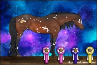 Horse Color:White Spotted Brown