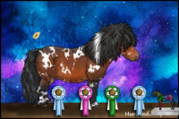 Horse Color:White Spotted Bay 
