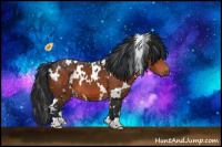 Horse Color:White Spotted Brown 