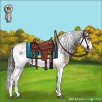 Horse Color:Buckskin Sabino Frame 