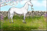 Horse Color:Gray White Spotted Brown 