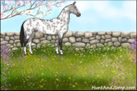 Horse Color:Gray Platinum Buckskin Dun Sabino Near Leopard Rabicano 