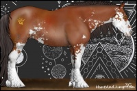 Horse Color:Bay Sabino Rabicano 