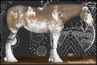 Horse Color:Brown Dun Sabino 