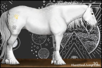 Horse Color:Gray Brown Sabino Rabicano 