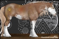 Horse Color:Chestnut Sabino 