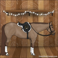 Horse Color:Liver Red Dun Brindle 