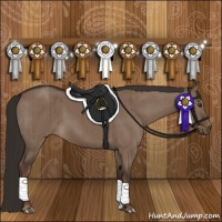 Horse Color:Liver Red Dun Brindle 