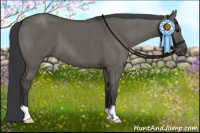 Horse Color:Grullo Brindle