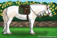 Horse Color:Smoky Black Pearl Splash Tobiano 