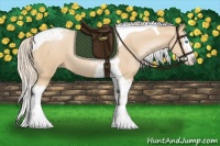 Horse Color:Palomino Pearl Splash Tobiano