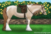 Horse Color:Smoky Black Pearl Tobiano 