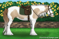 Horse Color:Smoky Black Pearl Splash Tobiano 