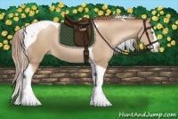 Horse Color:Smoky Black Pearl Splash Tobiano 