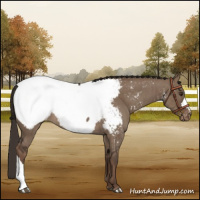 Horse Color:Liver Red Dun Near Fewspot Brindle 