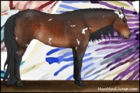 Horse Color:White Spotted Brown 