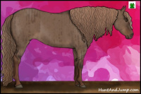 Horse Color:Liver Red Dun Brindle 