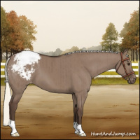 Horse Color:Liver Red Dun Mushroom Varnish Brindle 