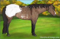 Horse Color:Brown Dun Snowcap Rabicano Brindle 