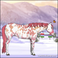 Horse Color:Watercolor Red Dun Onyx Sabino Near Leopard Brindle 