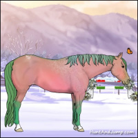 Horse Color:Watercolor Bay Dun Appaloosa 