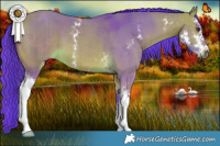 Horse Color:Watercolor Buckskin Dun Sabino Brindle 