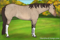 Horse Color:Brown Dun Varnish Brindle 