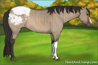 Horse Color:Brown Dun Varnish Brindle
