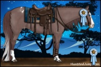 Horse Color:Chocolate Grullo Splash Appaloosa Brindle 