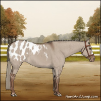 Horse Color:Liver Red Dun Mushroom Blanket Brindle 