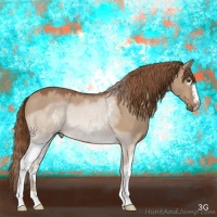 Horse Color:White Spotted Red Dun Roan 