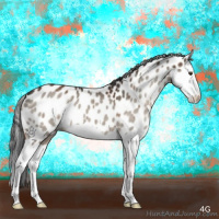 Horse Color:Liver Red Dun Splash Appaloosa Brindle 