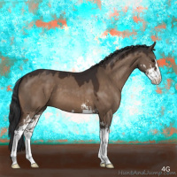 Horse Color:Brown Dun Sabino