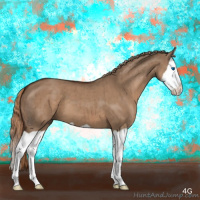 Horse Color:Liver Red Dun Splash Brindle 