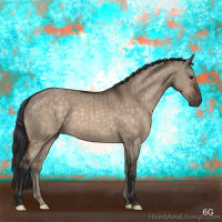 Horse Color:Brown Dun Brindle 