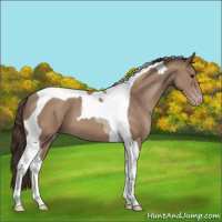 Horse Color:Classic Champagne Tobiano 