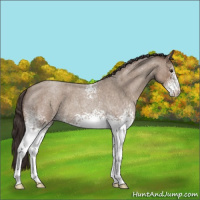 Horse Color:White Spotted Classic Champagne Roan 