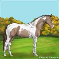Horse Color:Classic Champagne Tobiano Snowcap 