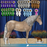 Horse Color:Gray Silver Classic Cream Champagne 