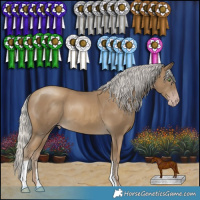Horse Color:Gray Silver Classic Cream Champagne