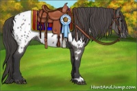 Horse Color:Grullo Near Leopard 