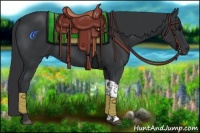 Horse Color:Black Tobiano 