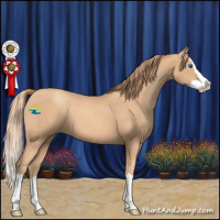 Horse Color:Gold Champagne Splash 