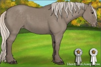 Horse Color:Silver Grullo Appaloosa 