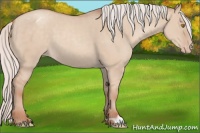 Horse Color:Silver Classic Champagne Dun Appaloosa