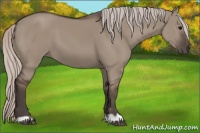 Horse Color:Silver Grullo 