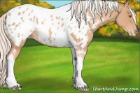 Horse Color:Silver Classic Champagne Tobiano Appaloosa 