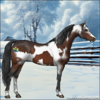 Horse Color:Brown  and Brown Frame 