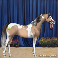 Horse Color:Amber Champagne Splash Tobiano 