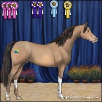Horse Color:Amber Champagne Tobiano Rabicano